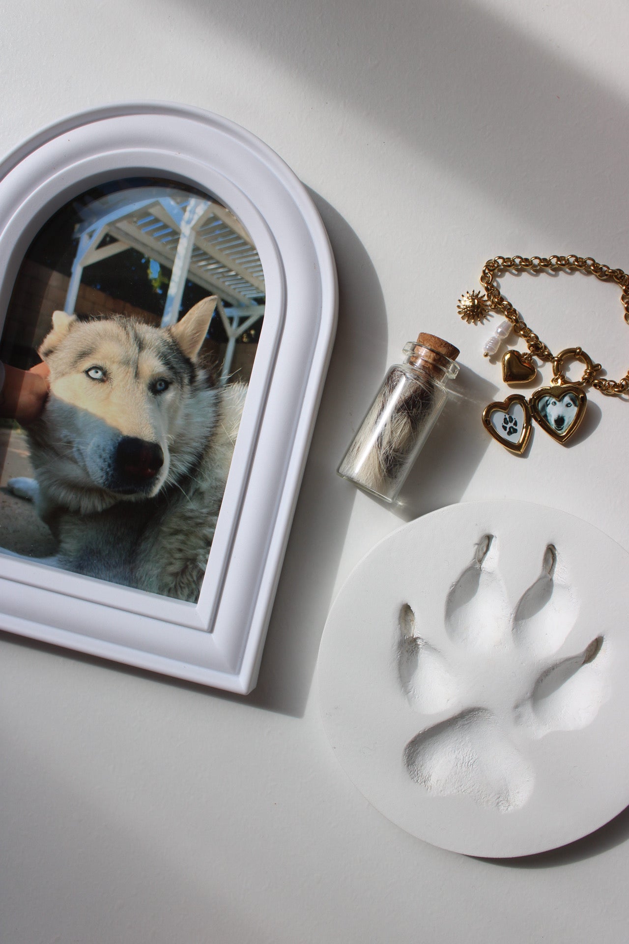 Lunas Memorial Collection